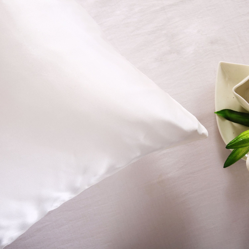 100% Nature Mulberry Silk Pill - Satin Pillowcase Silk recensione e prezzo