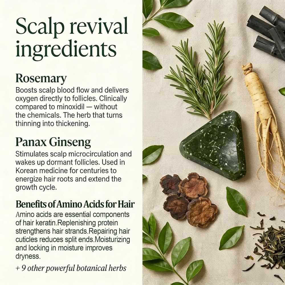 Rosemary Amino Acid Korean Sca - Hair Care Korea recensione e prezzo